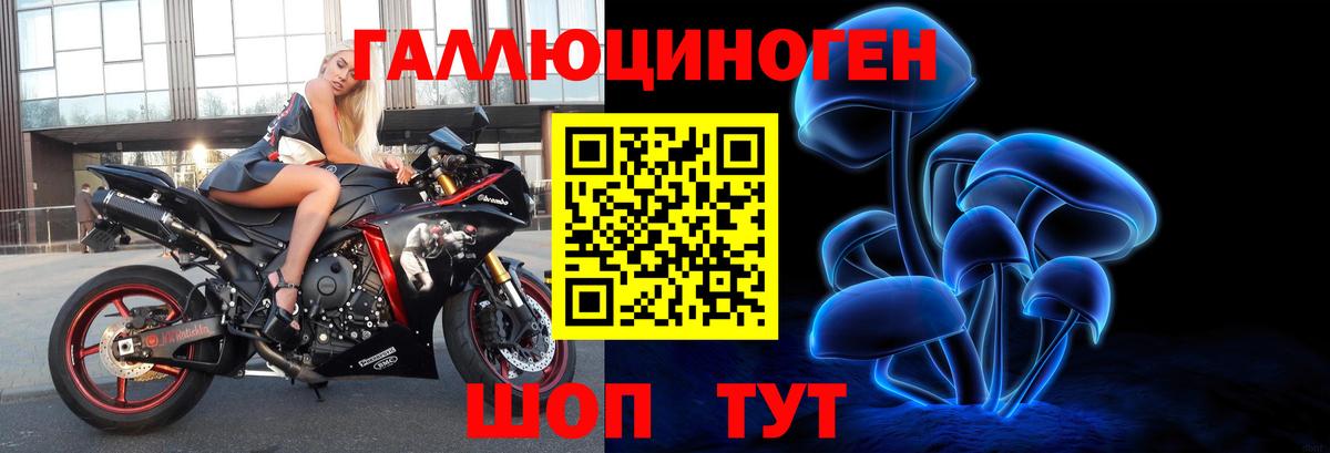 Псилоцибиновые грибы мицелий Сердобск